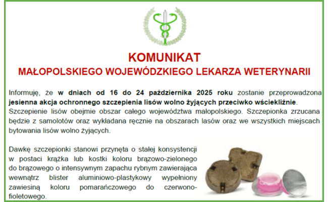 Zdjęcie artykułu pod tytułem Jesienna akcja...